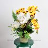 Chậu Lan Hồ Điệp Vàng Trắng